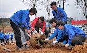 【文明柳职】99905cm银河80余名师生共植青年林